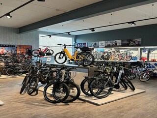 Vakantiehuis Breskens Omgeving 9