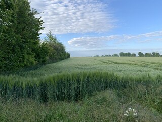 Appartamento per vacanze Wenkendorf Registrazione all'aperto 7