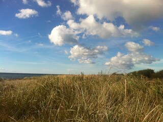 Apartamento de vacaciones Wenkendorf Entorno 27