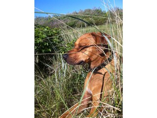 Appartamento per vacanze Wenkendorf Documento 35