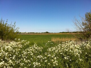Appartamento per vacanze Wenkendorf Documento 36