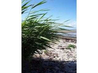 Appartamento per vacanze Wenkendorf Ambiente 28