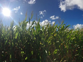 Ferienwohnung Wenkendorf Umgebung 31