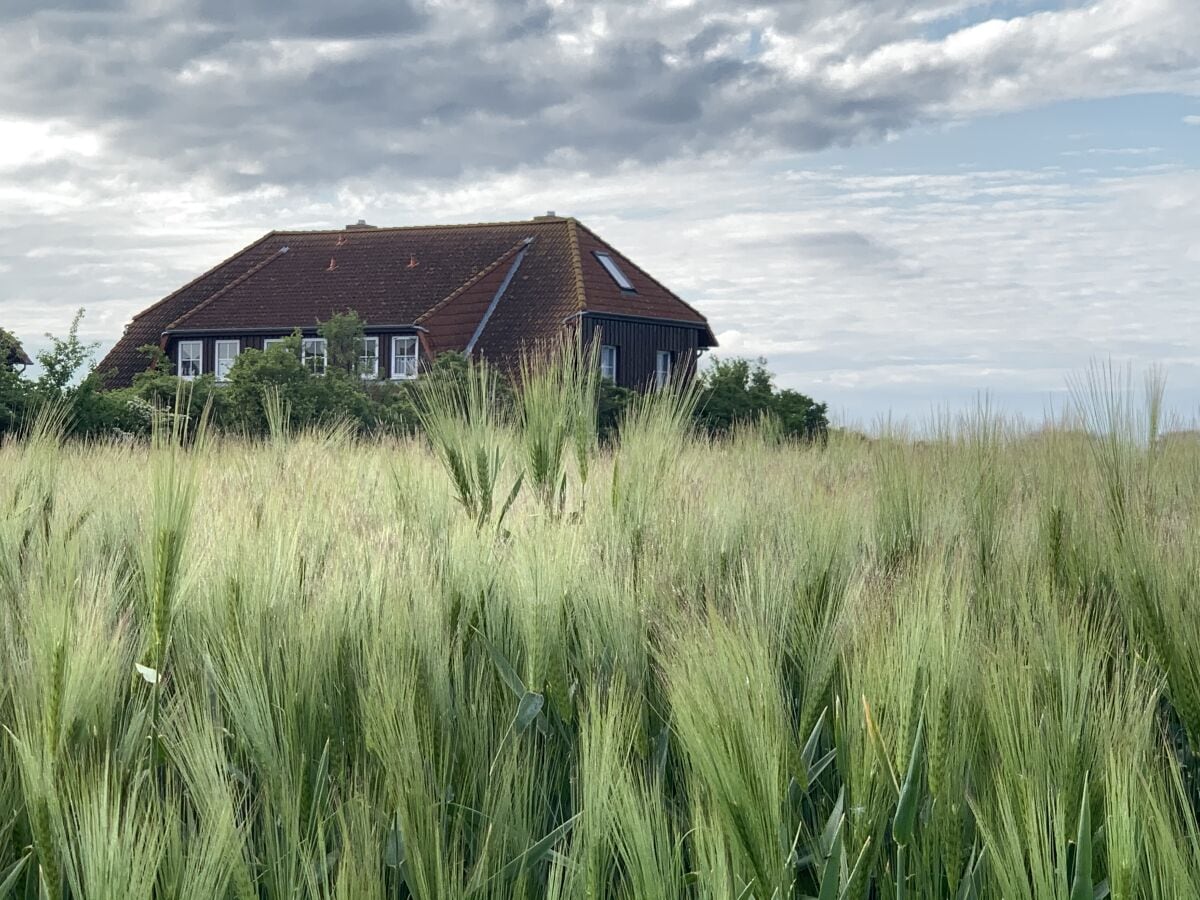 Toplage mit Blick über Westfehmarn