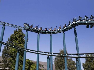 Holiday house Schoondijke Environment 30