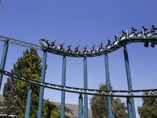 Holiday house Breskens Environment 5