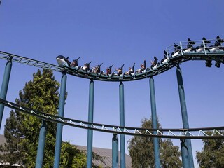 Casa per le vacanze Breskens Ambiente 24