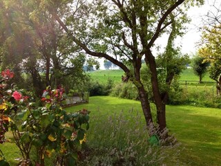 Maison de vacances Breskens  34