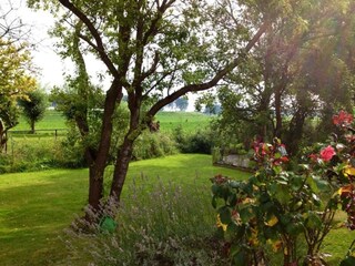 Holiday house Breskens Outdoor Recording 3