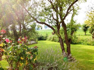 Casa de vacaciones Breskens Grabación al aire libre 2