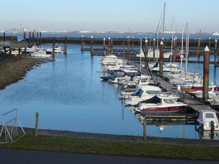 Maison de vacances Breskens Environnement 34