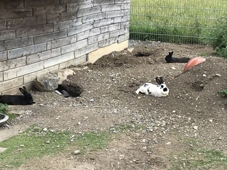 Fattoria Bichlbach Ambiente 13