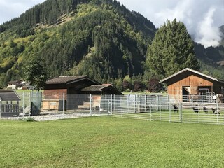 Fattoria Bichlbach Registrazione all'aperto 4