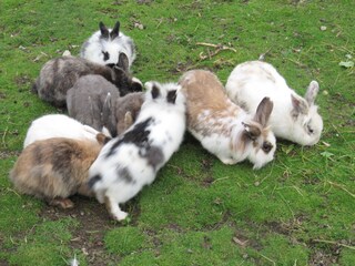 Fattoria Bichlbach Ambiente 11