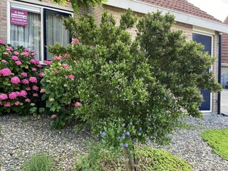 Holiday house Breskens  34