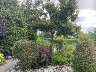 Vakantiehuis Breskens Buitenaudio-opname 7