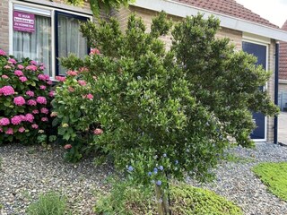 Vakantiehuis Breskens Buitenaudio-opname 6