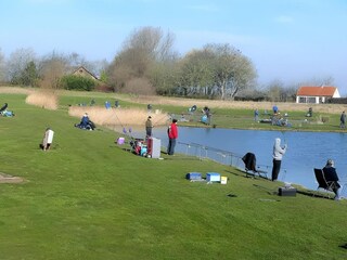Maison de vacances Breskens Environnement 26