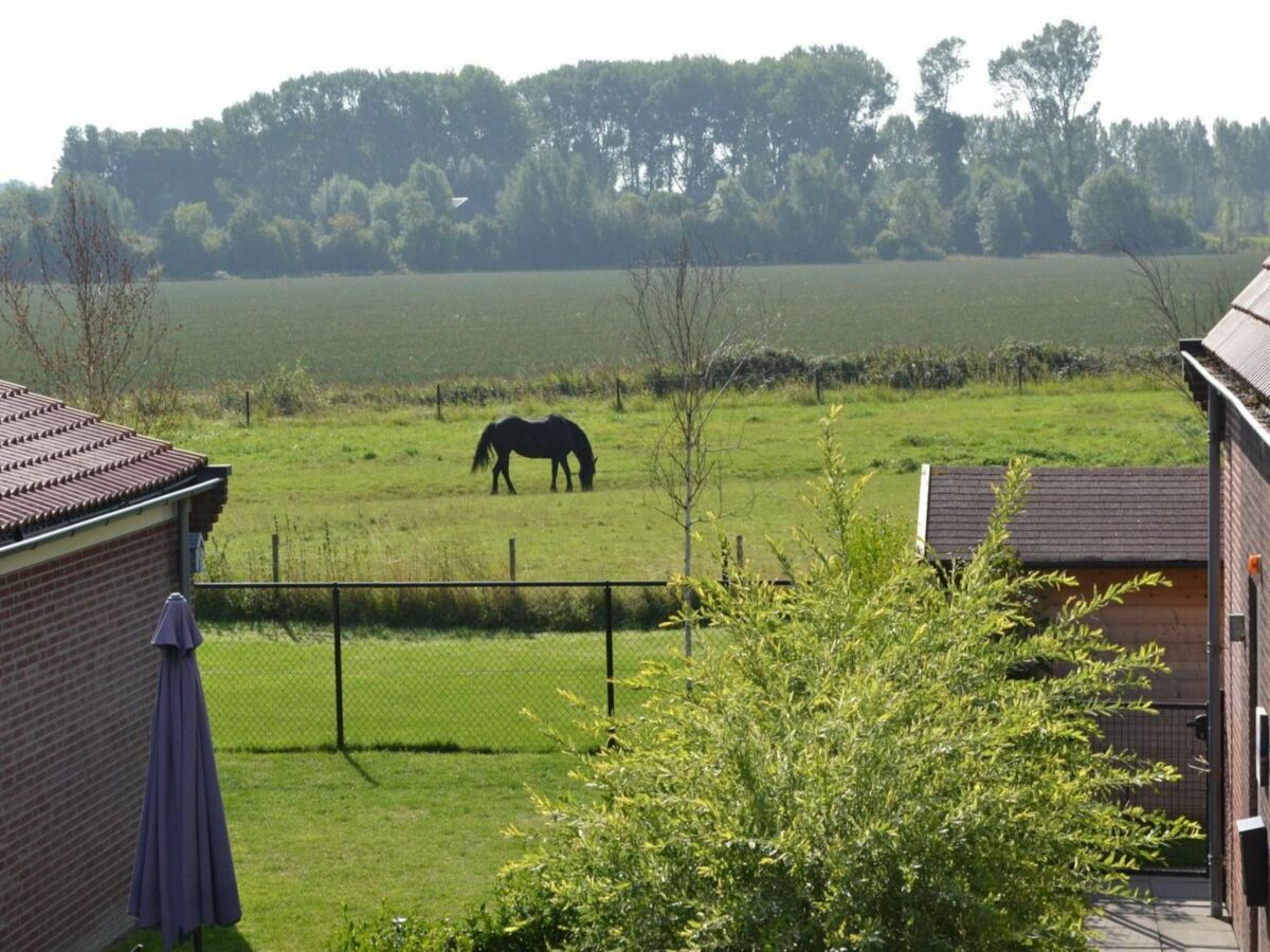 Ferienhaus Breskens  1