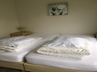 Holiday house Breskens  39