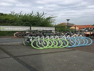 Vakantiehuis Breskens Omgeving 11