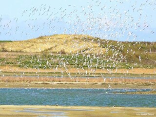 Vakantiehuis Breskens Omgeving 18