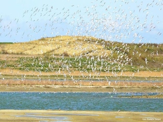 Ferienhaus Breskens Umgebung 36