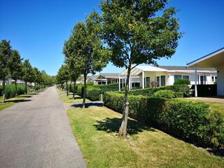 Holiday house Breskens Environment 17