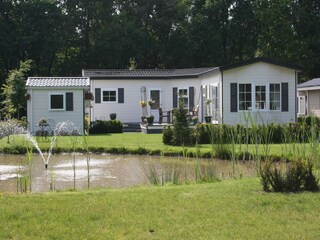 Maison de vacances Breskens Environnement 13