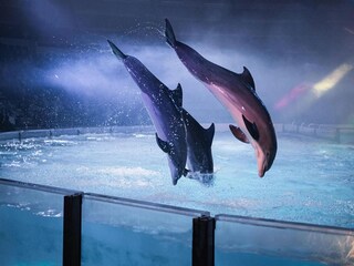 Casa de vacaciones Breskens Entorno 35