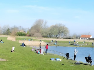 Vakantiehuis Breskens Omgeving 11