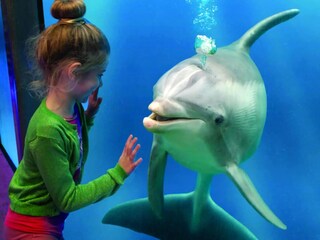 Holiday house Breskens Environment 27