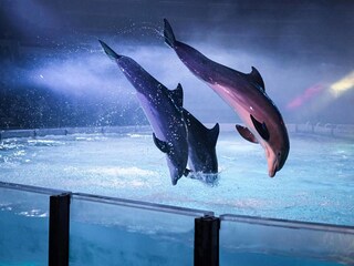 Casa per le vacanze Breskens Ambiente 28