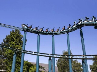 Holiday house Breskens Environment 29