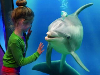 Casa de vacaciones Breskens Entorno 17