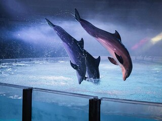 Vakantiehuis Breskens Omgeving 18