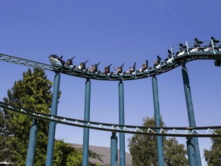 Vakantiehuis Breskens Omgeving 19