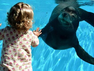 Casa per le vacanze Breskens Ambiente 21
