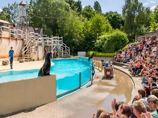 Casa per le vacanze Breskens Ambiente 13