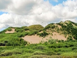 Vakantiehuis Vester Husby  11