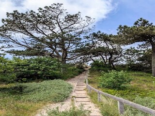 Vakantiehuis Vester Husby  8