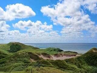 Vakantiehuis Vester Husby  13