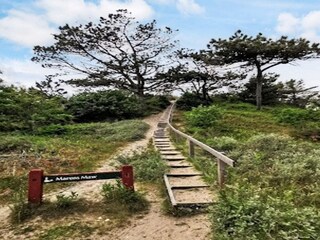 Casa per le vacanze Vester Husby  43