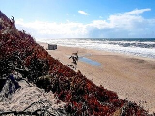 Casa de vacaciones Vester Husby  34