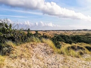 Casa de vacaciones Vester Husby  51