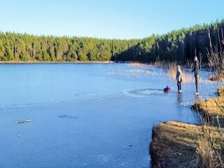 Vakantiehuis Vester Husby  51