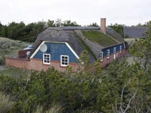 4 Sterne Ferienhaus in Ringkøbing - Klegod - image1