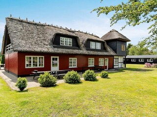 Ferienhaus Thorning  6