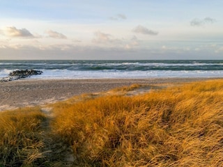 Ferienhaus Harboøre  11