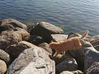 Ferienhaus Karrebæksminde  35